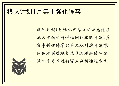 狼队计划1月集中强化阵容